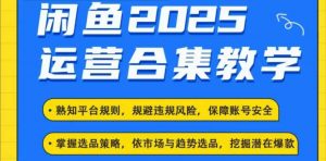 2025闲鱼电商运营全集，2025最新咸鱼玩法-511资料网