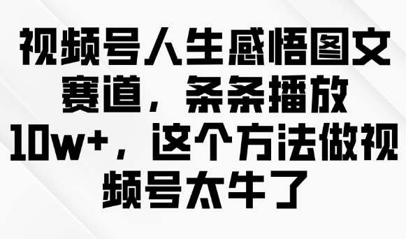 视频号人生感悟图文赛道，条条播放10w+，这个方法做视频号太牛了-511资料网