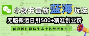 小绿书无脑搬运引流，全自动日引500精准创业粉，微信生态内又一个闷声发财的机会-511资料网