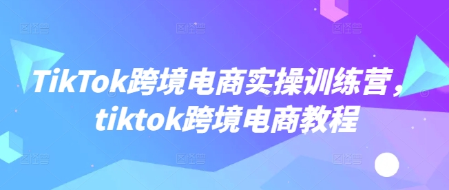 TikTok跨境电商实操训练营，tiktok跨境电商教程-511资料网