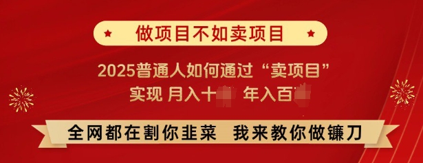 必看，做项目不如卖项目，2025普通人如何通过“卖项目”实现月入十个，年入百个-511资料网