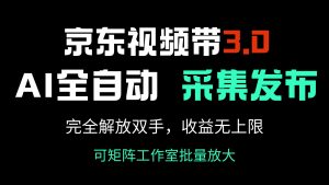 京东视频带货3.0，Ai全自动采集＋自动发布，完全解放双手，收入无上限...-511资料网
