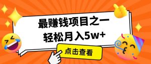 全网首发！7天赚了2.4w，2025利润超级高！风口项目！-511资料网