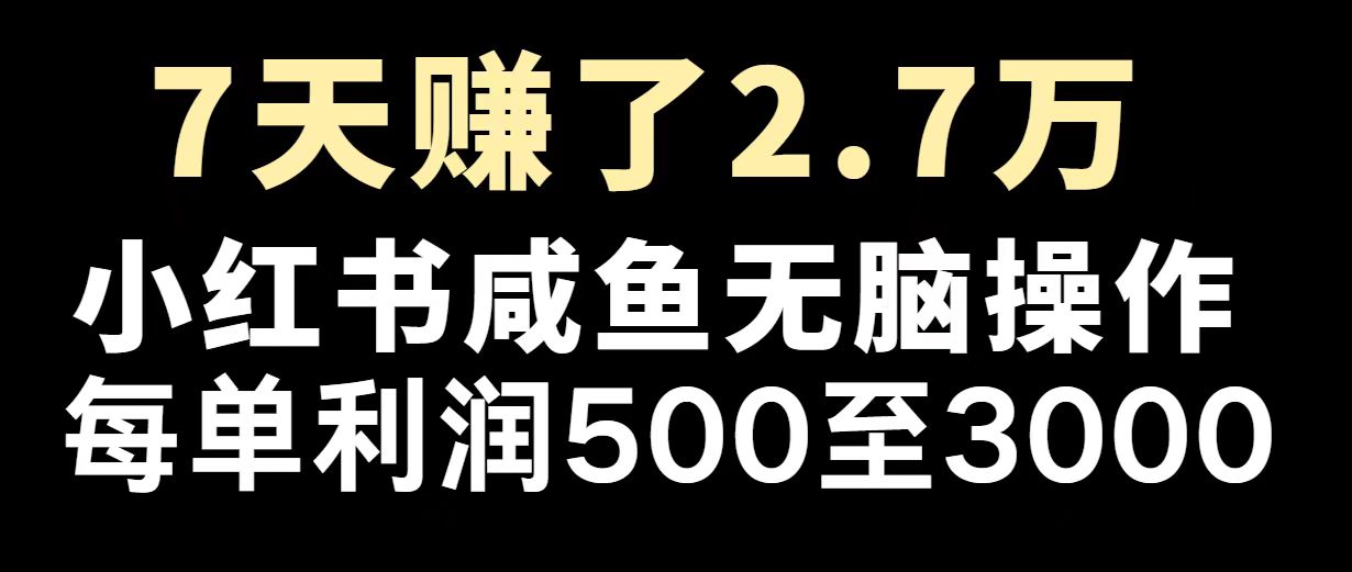 最赚钱项目之一，2025爆火，逆风翻盘！-511资料网