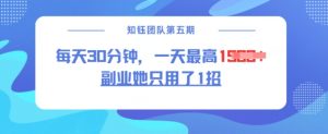 副业她只用了1招，每天30分钟，无脑二创，一天最高1.5k-511资料网