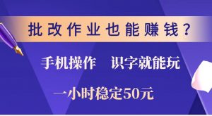 批改作业也能赚钱？0门槛手机项目，识字就能玩！一小时稳定50元！-511资料网