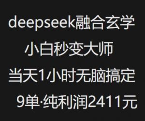 抖音小红书deepseek融合玄学，纯小白秒变大师，当天1小时无脑搞定9单，纯利润上千-511资料网