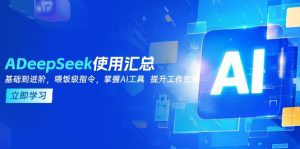 DeepSeek使用汇总，基础到进阶，提示词技巧，掌握AI工具  提升工作效率-511资料网