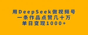 用DeepSeek做视频号，一条作品点赞几十万，单日变现1k-511资料网