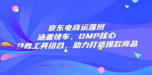 京东电商运营班：涵盖快车，DMP核心及各工具组合，助力打造爆款商品-511资料网