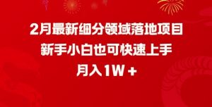 2月最新细分领域落地项目，新手小白也可快速上手，月入1W-511资料网