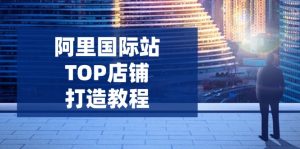 阿里国际站TOP店铺打造教程：涵盖平台到高阶，解决运营难题，提升询盘-511资料网