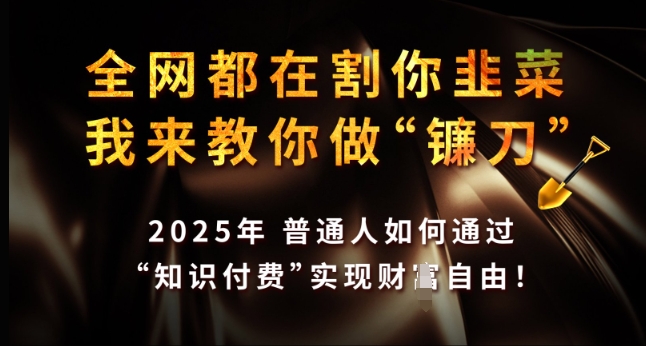 全网都在割你韭菜，我来教你做镰刀，2025年普通人如何通过 知识付费 实现财F自由【揭秘】-511资料网