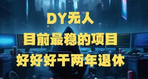 DY无人，目前最稳的项目，矩阵放大边旅游边赚钱，好好好干两年退休-511资料网