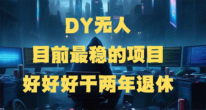 DY无人，目前最稳的项目，矩阵放大边旅游边赚钱，好好好干两年退休-511资料网