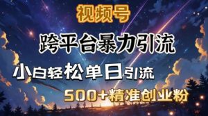 跨平台暴力引流，私域完美闭环，日引500+精准创业粉-511资料网