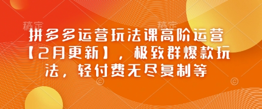 拼多多运营玩法课高阶运营【2月更新】，极致群爆款玩法，轻付费无尽复制等-511资料网