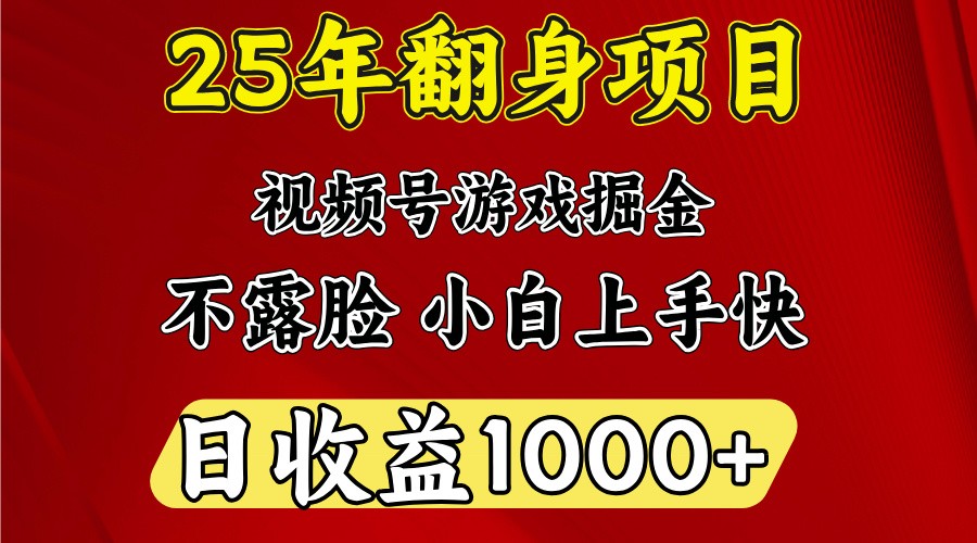 一天收益1000+ 25年开年落地好项目-511资料网