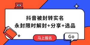 抖音被封转实名攻略，永久封禁也能限时解封，分享解封后高效选品技巧-511资料网