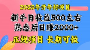 2025开年好项目,单号日收益2000左右-511资料网