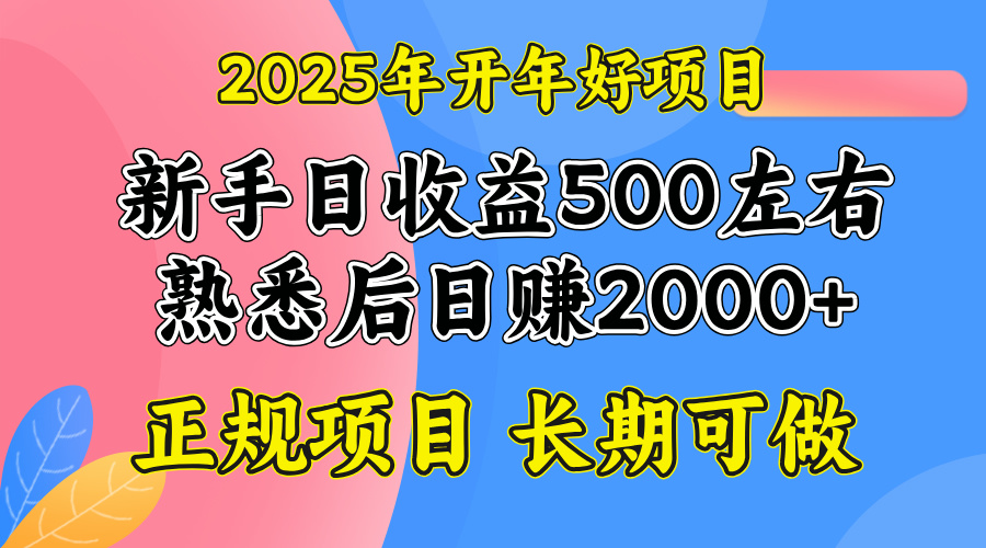 2025开年好项目,单号日收益2000左右-511资料网