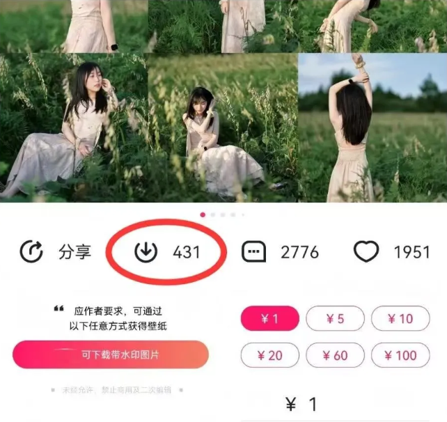 最新图虫搬运项目，收益无上限，利用AI小白也可日赚500+-511资料网