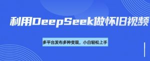 利用DeepSeek做怀旧视频，流量号多渠道变现能力强-511资料网