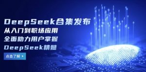 DeepSeek合集发布，从入门到职场应用，全面助力用户掌握DeepSeek精髓-511资料网
