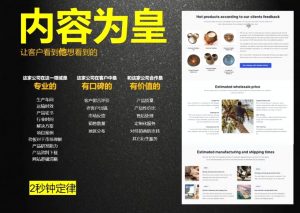 刘老师·外贸询盘增长秘籍从0到1的实战指南-511资料网