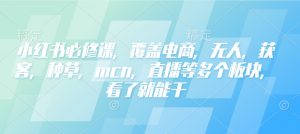 小红书必修课，覆盖电商，无人，获客，种草，mcn，直播等多个板块，看了就能干-511资料网