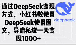 通过DeepSeek变现方式，小红书教使用DeepSeek图文，导流私域一天变现1000+-511资料网