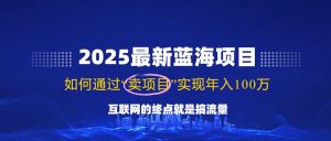 2025最新蓝海项目，零门槛轻松复制，月入10万+，新手也能操作！-511资料网