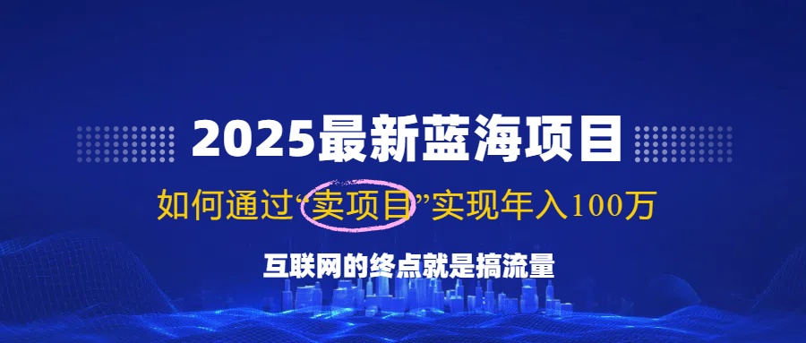 2025最新蓝海项目，零门槛轻松复制，月入10万+，新手也能操作！-511资料网
