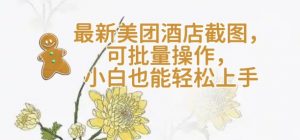 【轻云】最新美团酒店截图，可批量操作，小白也能轻松上手-511资料网