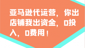 亚马逊代运营，你出店铺我出资金，0投入，0费用，无责任每天300分红，赢亏我承担-511资料网