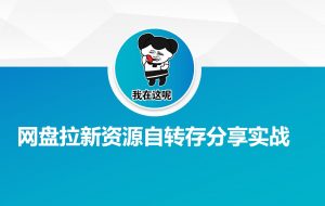 网盘拉新资源自动转存分享实战-511资料网