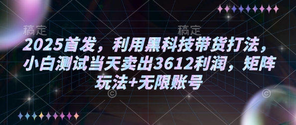 2025首发,利用黑科技带货打法,小白测试当天卖出3612利润,矩阵玩法+无限账号【揭秘】-511资料网