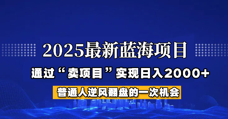 2025年蓝海项目，如何通过“网创项目”日入2000+-511资料网