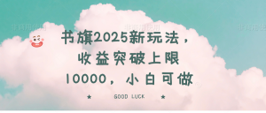 书旗2025新玩法，收益突破上限10000，小白可做-511资料网