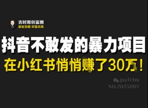 抖音不敢发的暴利项目，在小红书悄悄挣了30W-511资料网