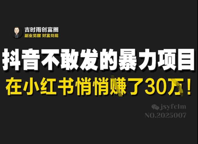 抖音不敢发的暴利项目,在小红书悄悄挣了30W-511资料网