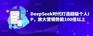 DeepSeek时代打造超级个人IP，放大营销势能100倍以上-511资料网