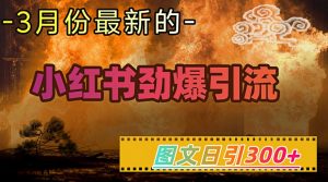 小红书超劲爆引流手段，图文日引300+轻松变现1W-511资料网