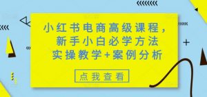 小红书电商高级课程，新手小白必学方法，实操教学+案例分析-511资料网