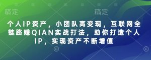 个人IP资产，小团队高变现，互联网全链路赚QIAN实战打法，助你打造个人IP，实现资产不断增值-511资料网