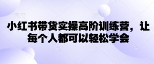 小红书带货实操高阶训练营，让每个人都可以轻松学会-511资料网