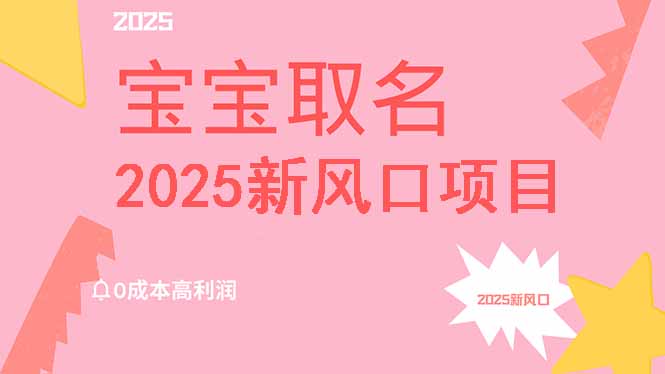 2025新风口项目宝宝取名，0成本高利润，附保姆级教程，月入过万不是梦-511资料网
