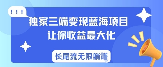 独家三端变现蓝海项目，让你收益最大化，长尾流无限躺挣-511资料网
