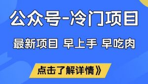公众号冷门赛道，早上手早吃肉，单月轻松稳定变现1W【揭秘】-511资料网
