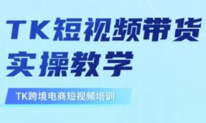 东南亚TikTok短视频带货，TK短视频带货实操教学-511资料网